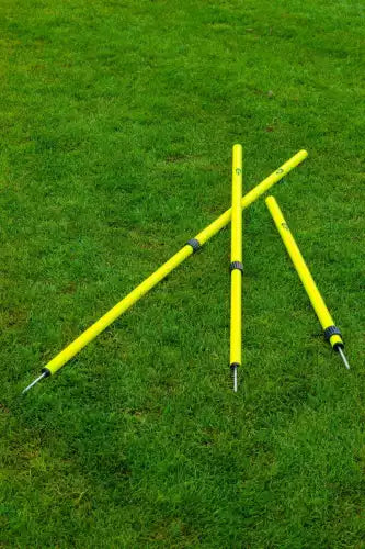 Set of 6 Telescopic slalom poles with spike - 91cm to 172cm