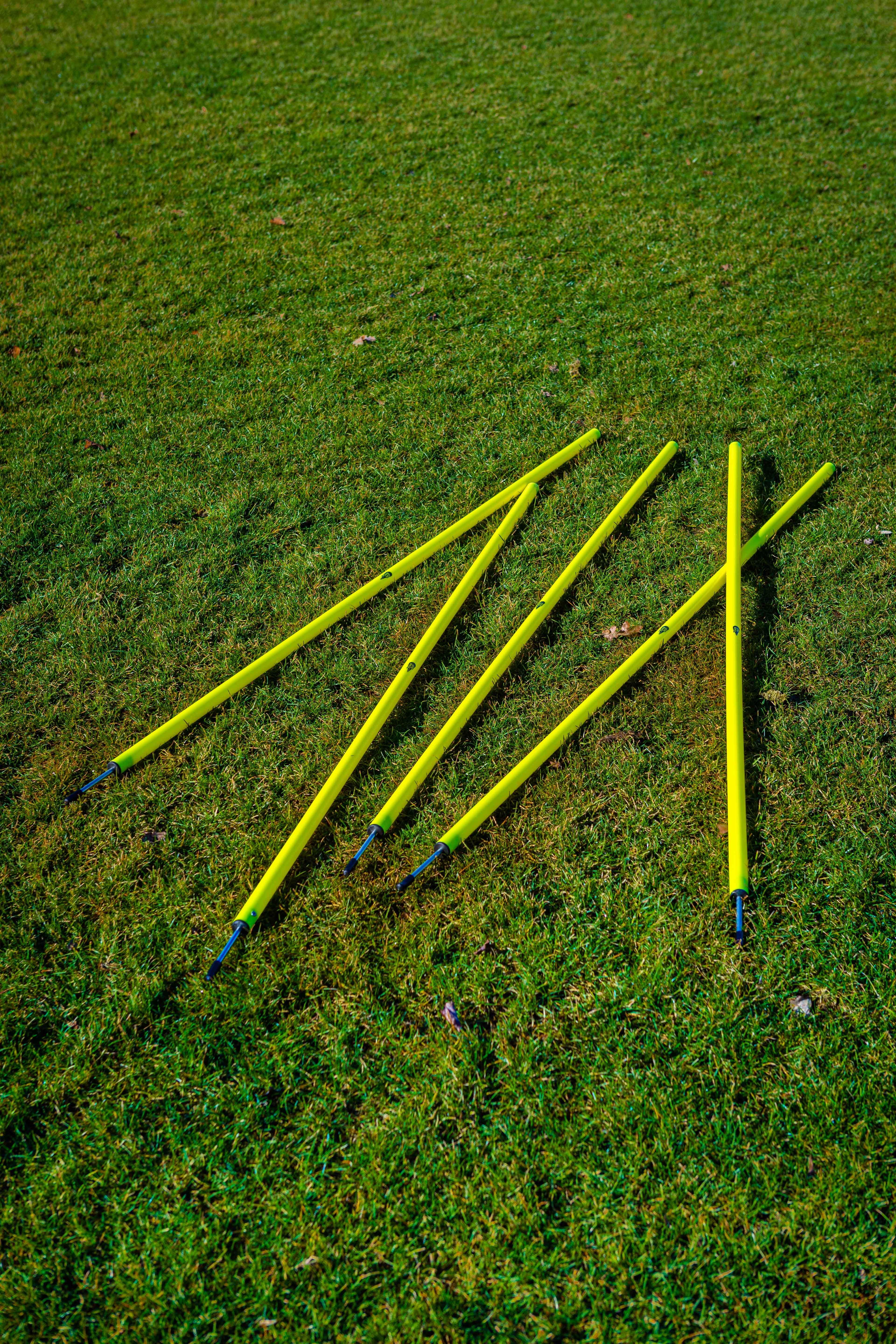 Set of 5 slalom poles with spike
