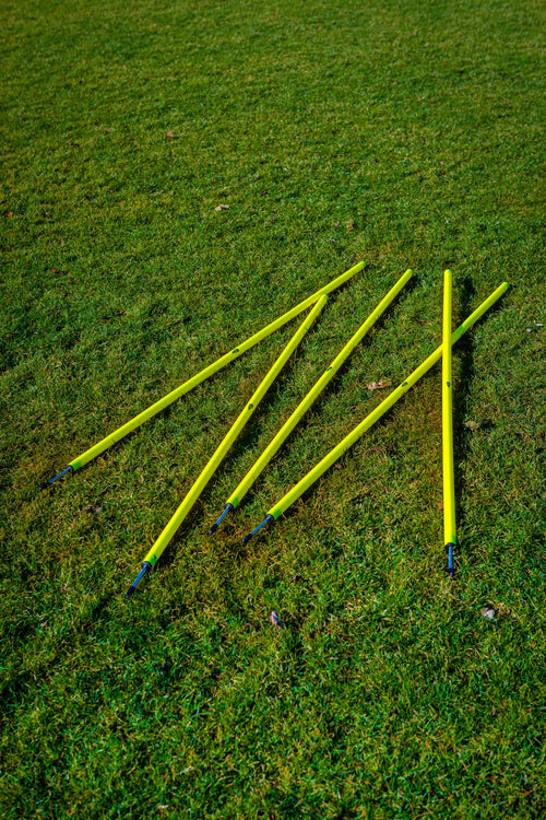 Set of 5 slalom poles with spike