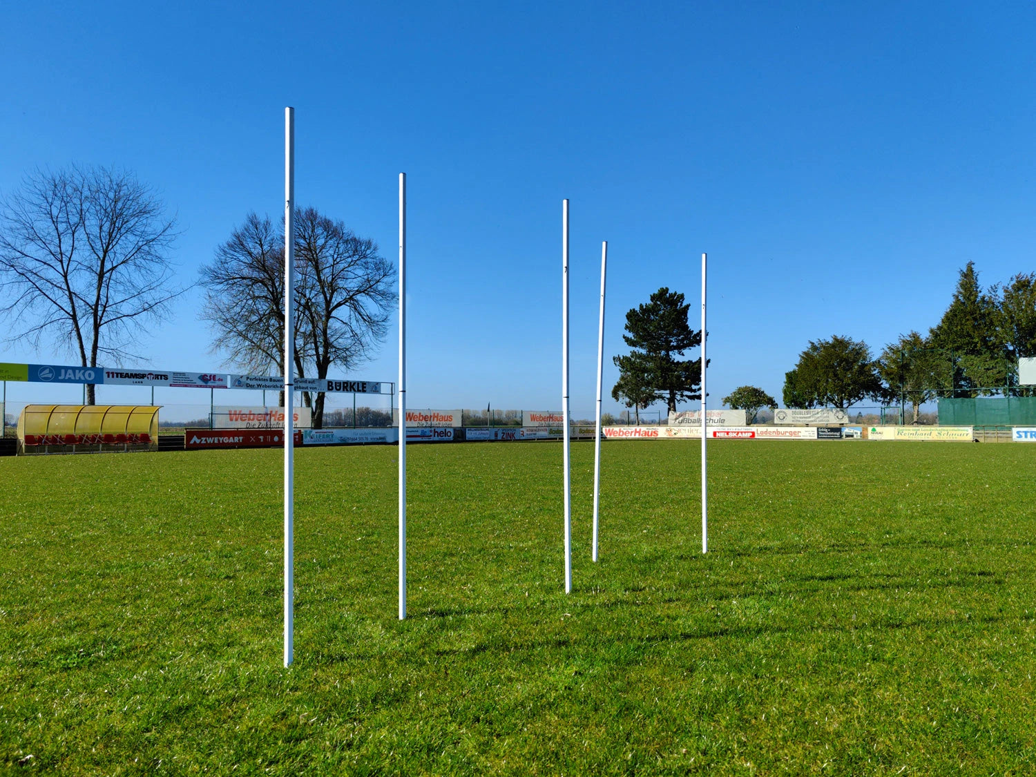 Set of 5 slalom poles with spike