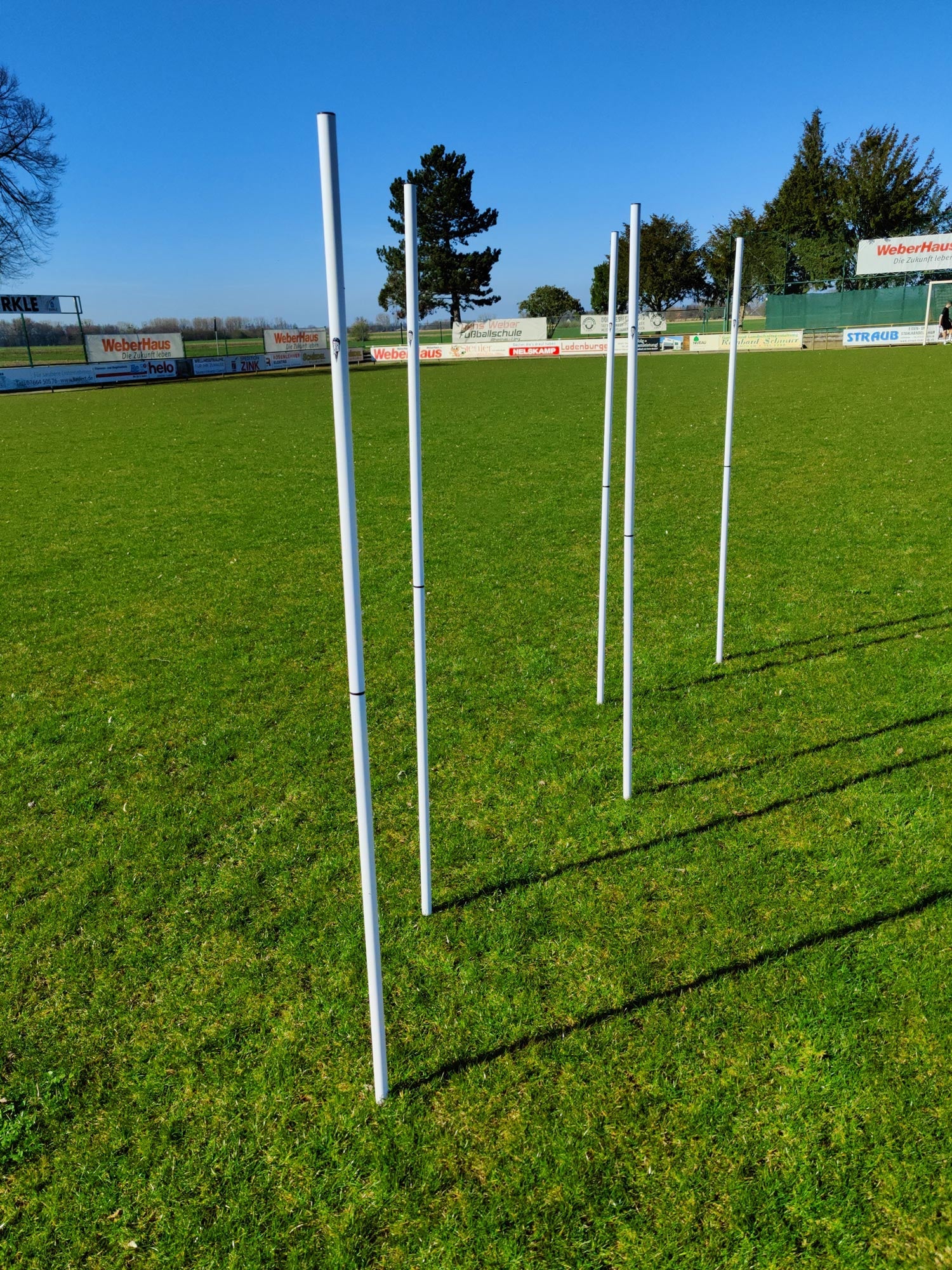 Set of 5 slalom poles with spike