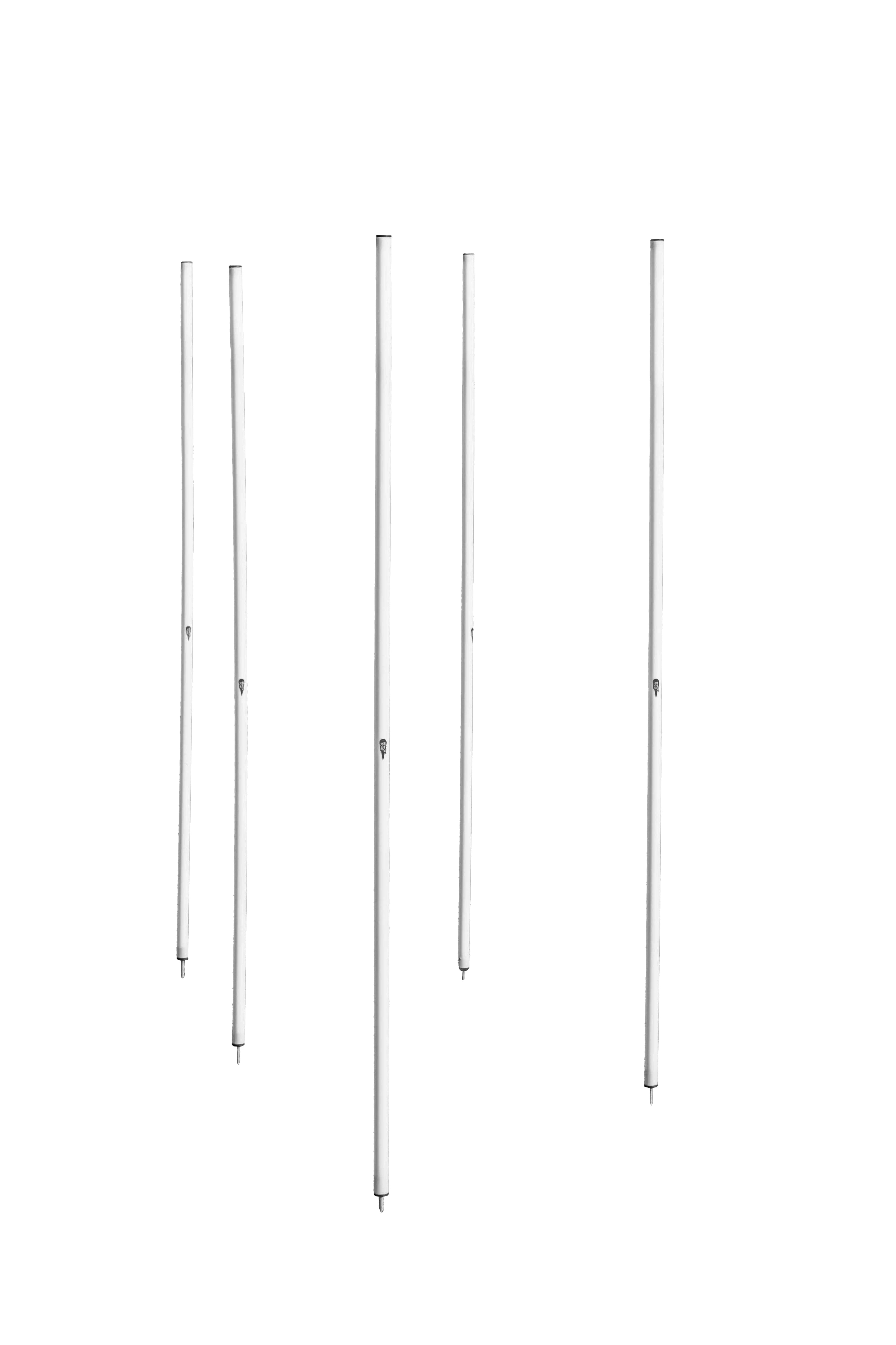 Set of 5 slalom poles with spike