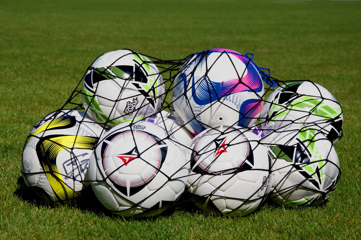 Ball storage net holds 12 balls