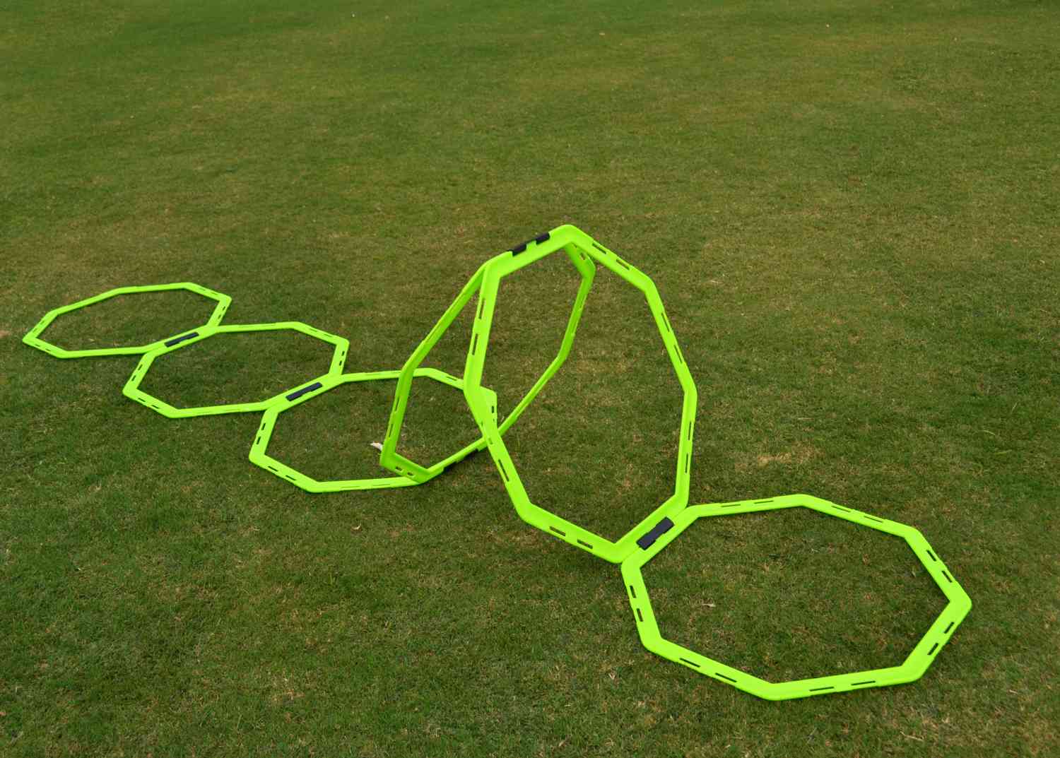 Octagonal agility ladder with carry bag