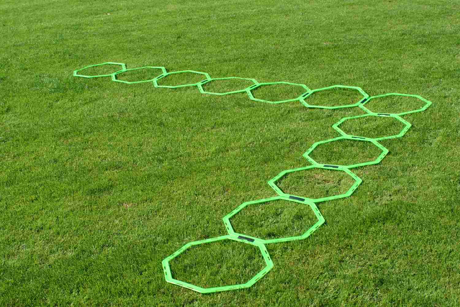 Octagonal agility ladder with carry bag
