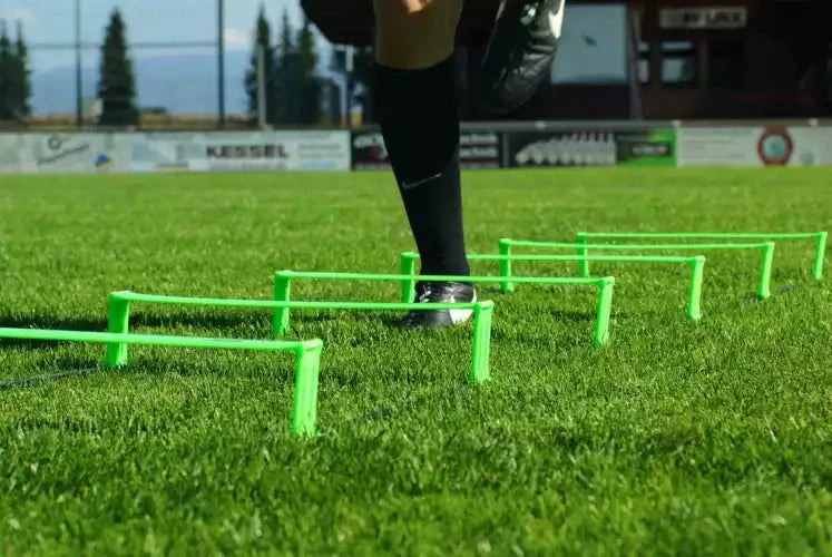 Foldable agility ladder with carry bag