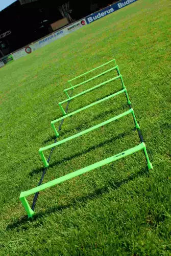 Foldable agility ladder with carry bag