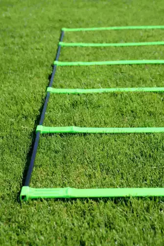 Foldable agility ladder with carry bag