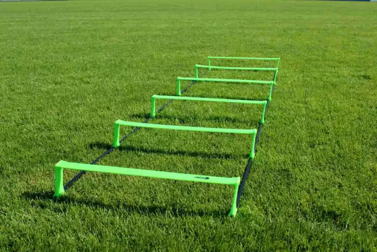 Foldable agility ladder with carry bag
