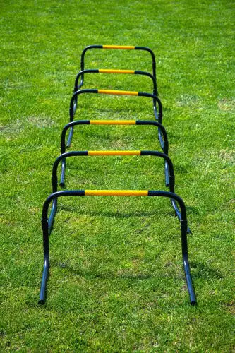 Set of 6 Self-Return Training Hurdles – 20cm Powershot