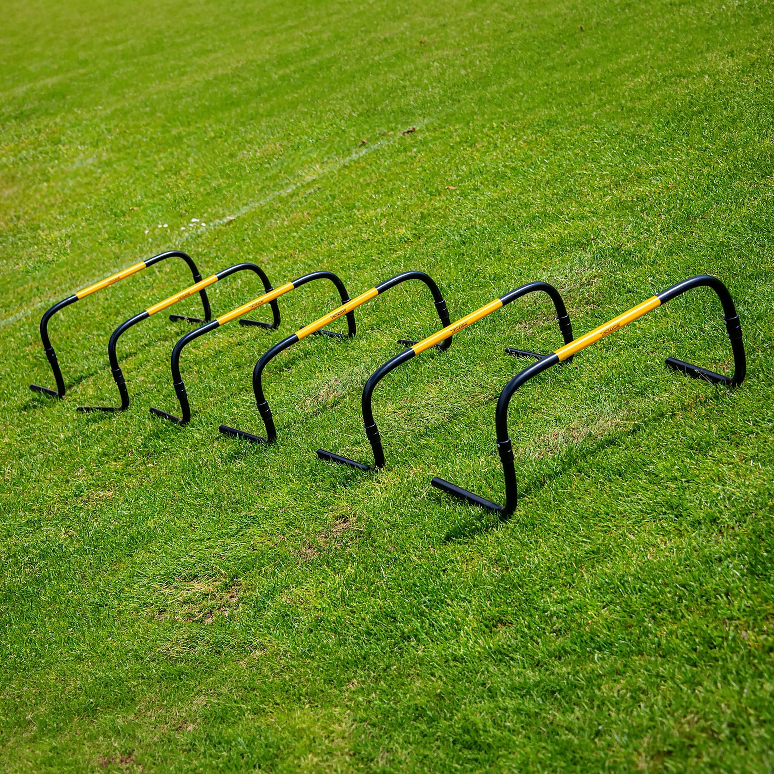 Set of 6 Self-Return Training Hurdles – 20cm