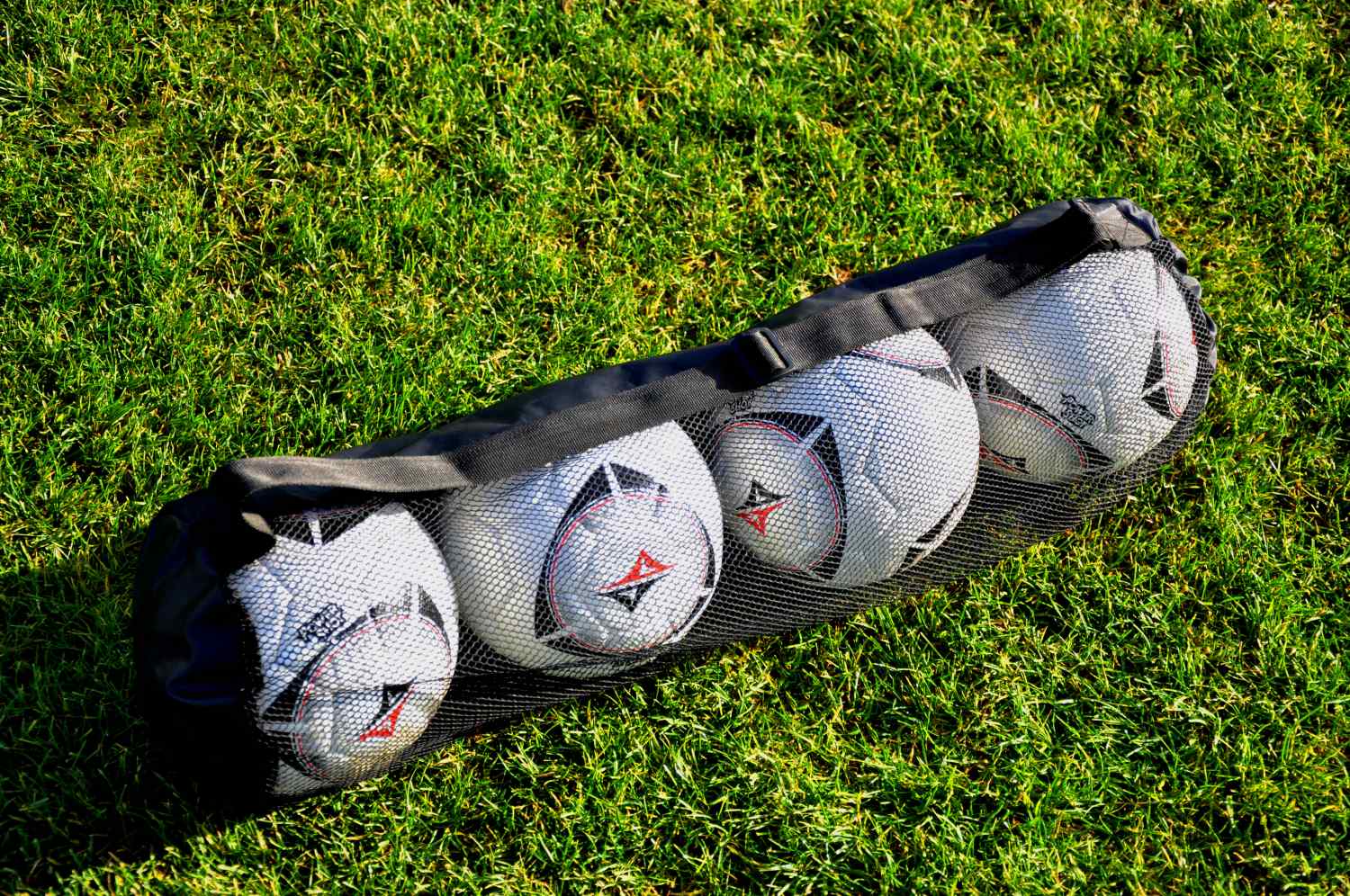 Balloon bag holds up to 4 balls